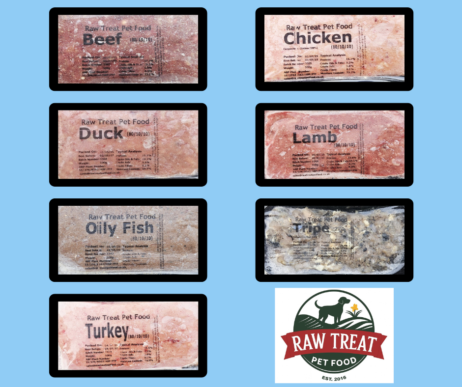 Raw Treat Meals - 20 Pack