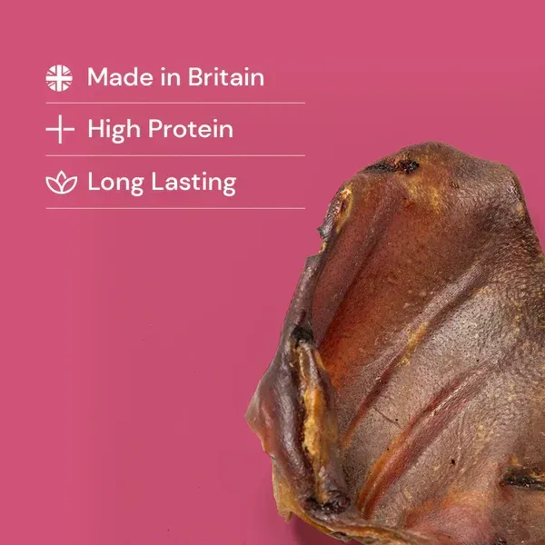 Pigs Ears