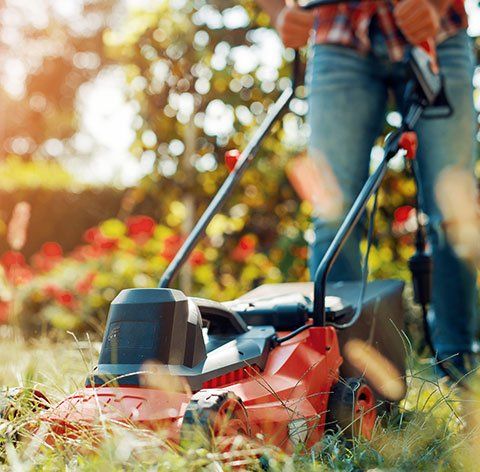 Landscape Maintenance — Lawn Care in Camp Verde, AZ