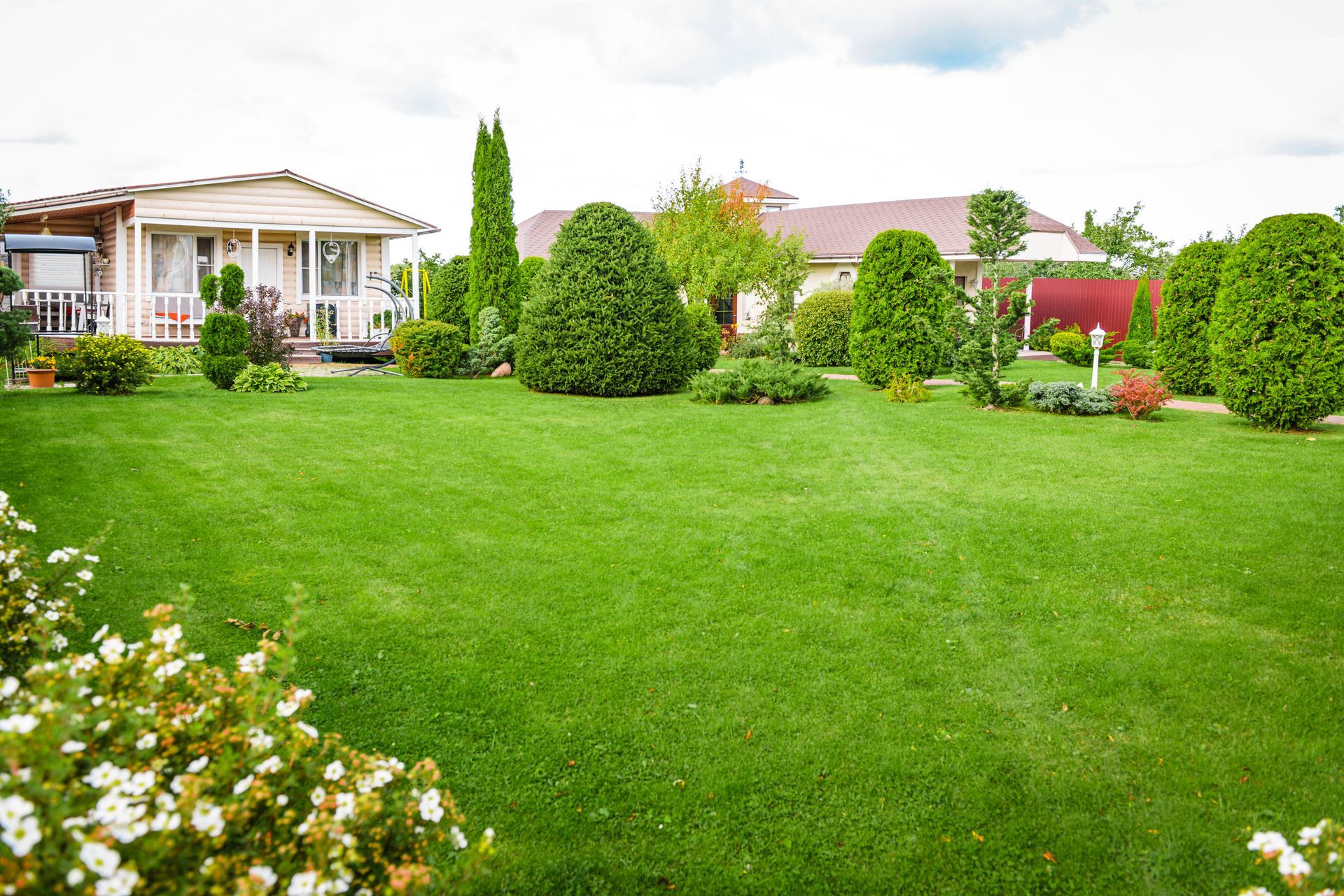 Garden with ornamental trees and plants.