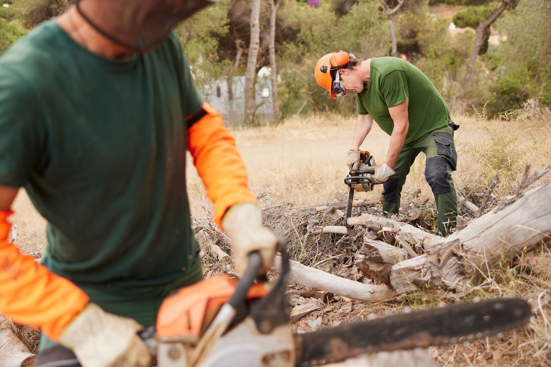Two workers in green shirts use chainsaws to cut fallen branches in a wooded area.
