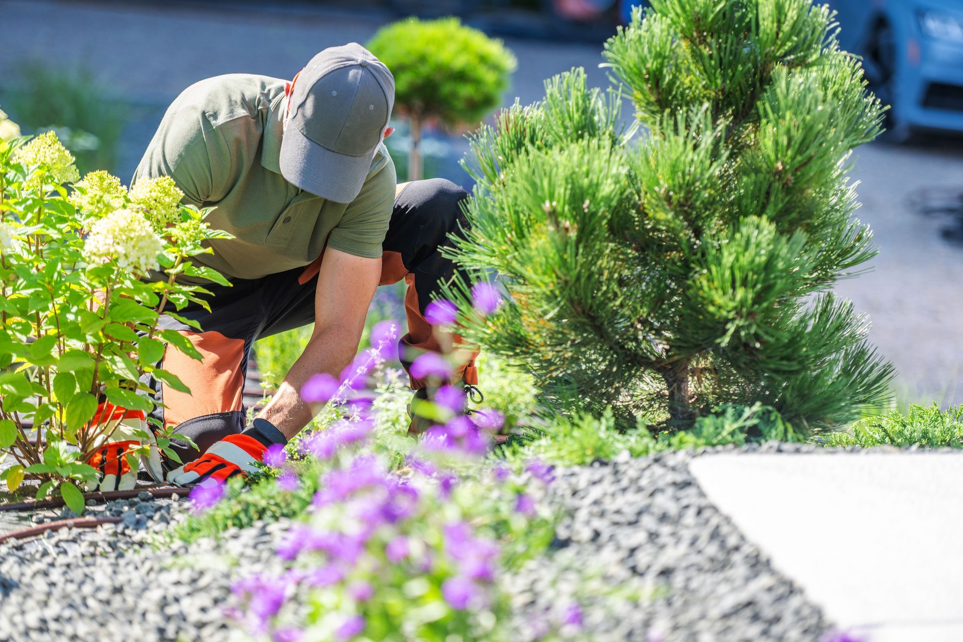 Landscaper tending flowering plants and shrubs in a vibrant garden under bright sunlight.
