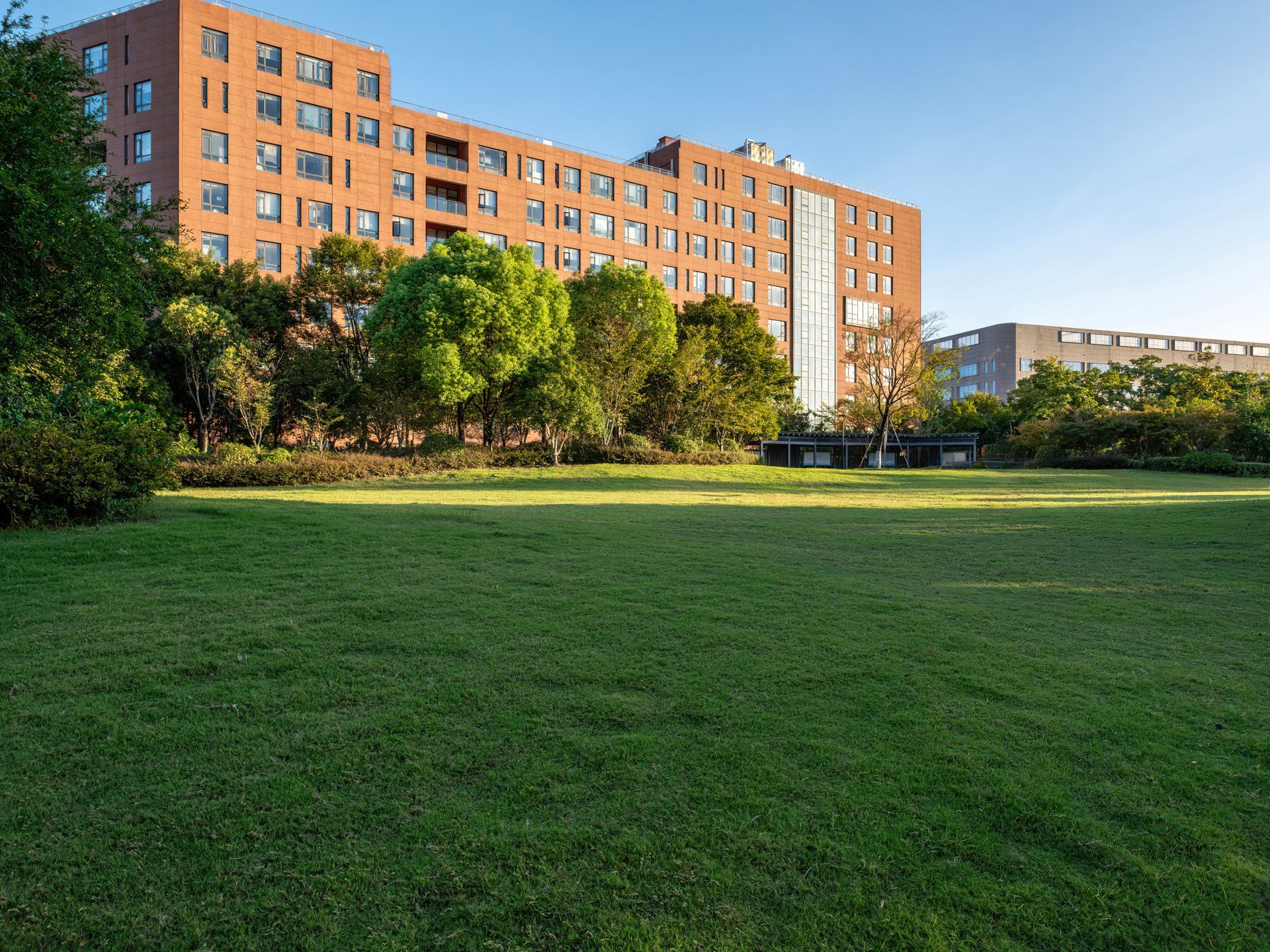 Green lawn and modern residential buildings under bright sunlight.
