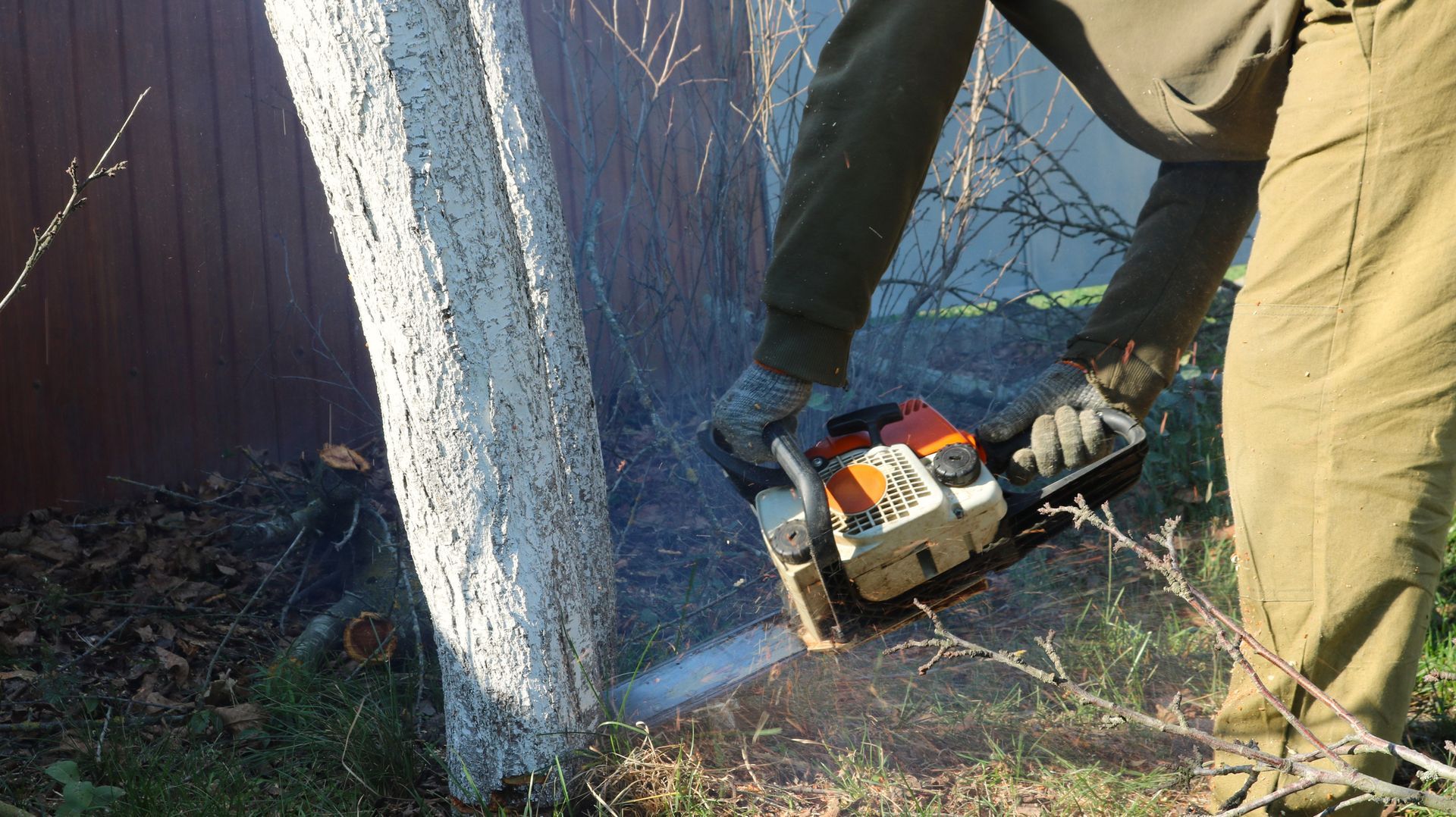 A person uses a chainsaw to cut down a tree with branches and leaves scattered on the ground.