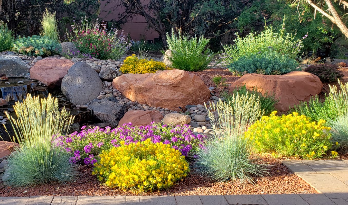 A garden filled with lots of flowers and rocks.