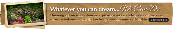 Landscaping Service — Contact Us Slogan in Camp Verde, AZ