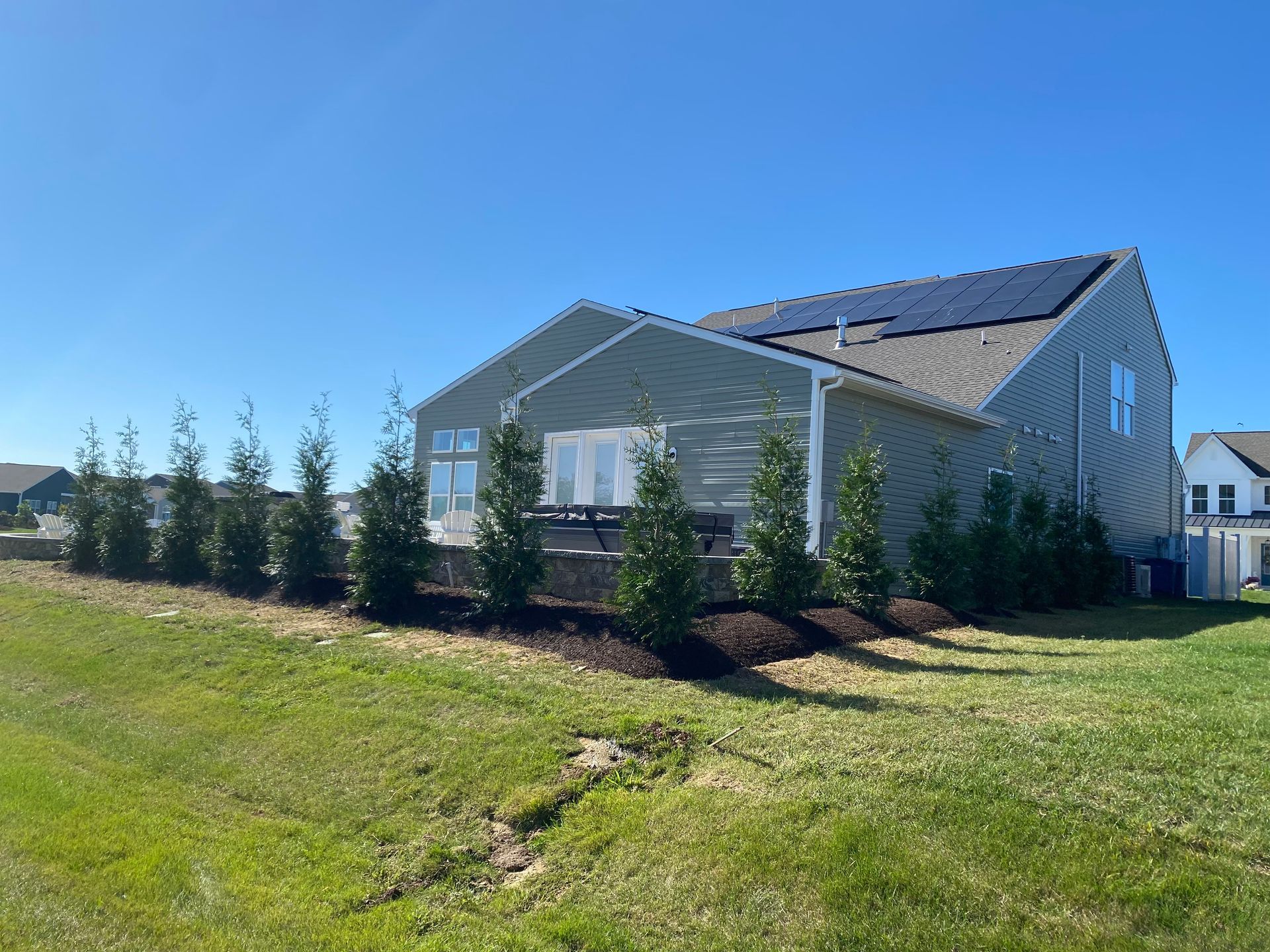 A light green house with solar panels on a gray roof, featuring a row of tall evergreen trees in a landscaped yard.
