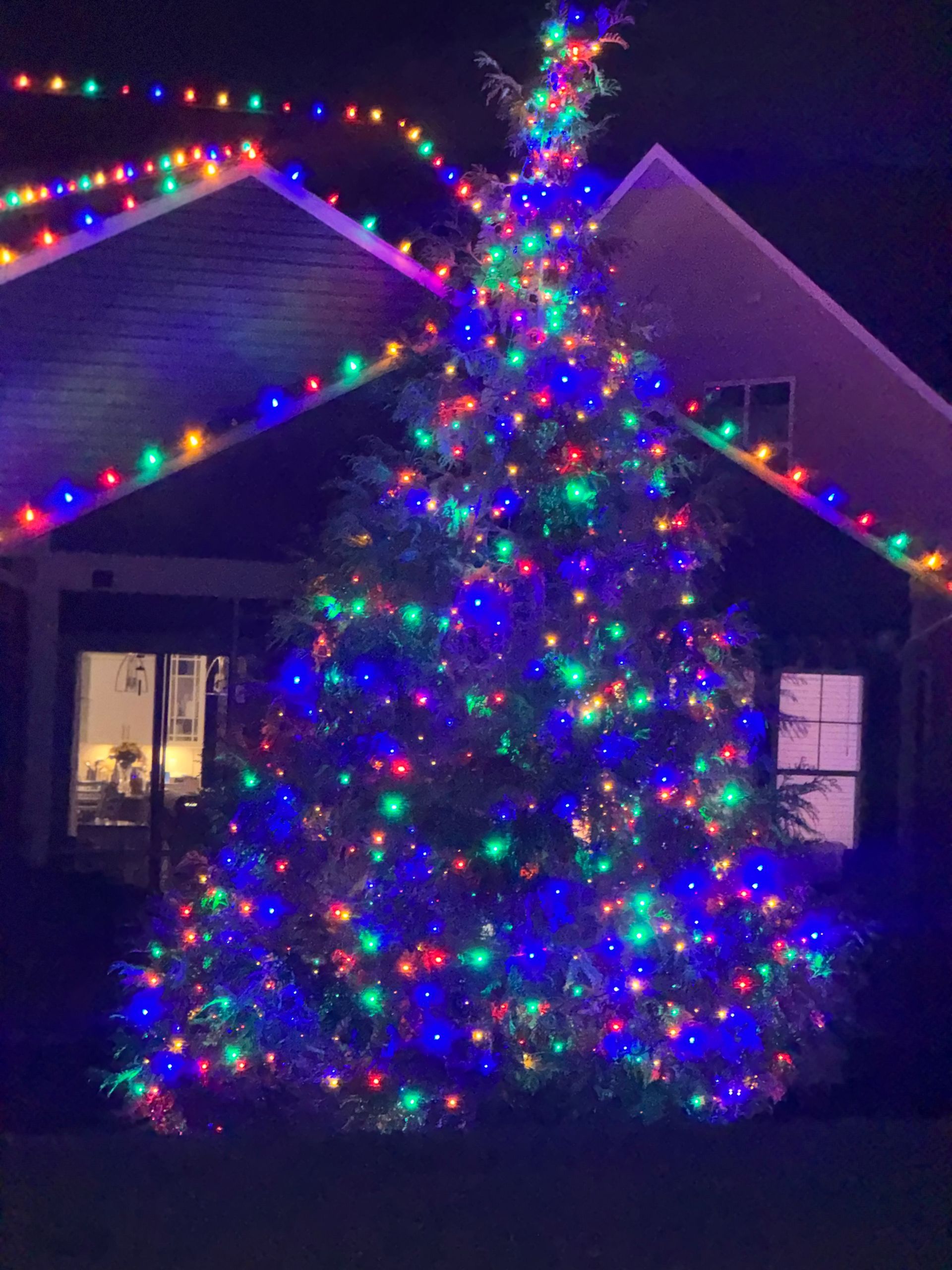 A large, outdoor evergreen tree covered in multicolored holiday lights, positioned in front of a house at night.