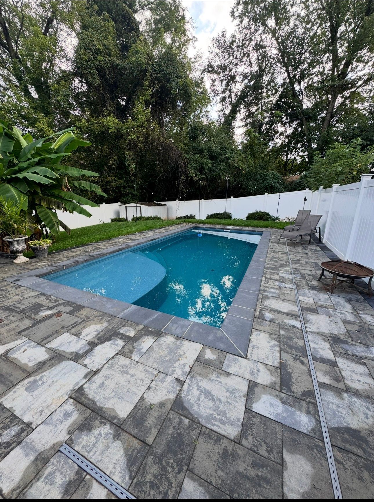 A rectangular backyard swimming pool with a blue tiled sun shelf, surrounded by gray stone pavers and a white fence.