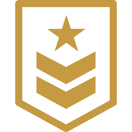 military badge icon