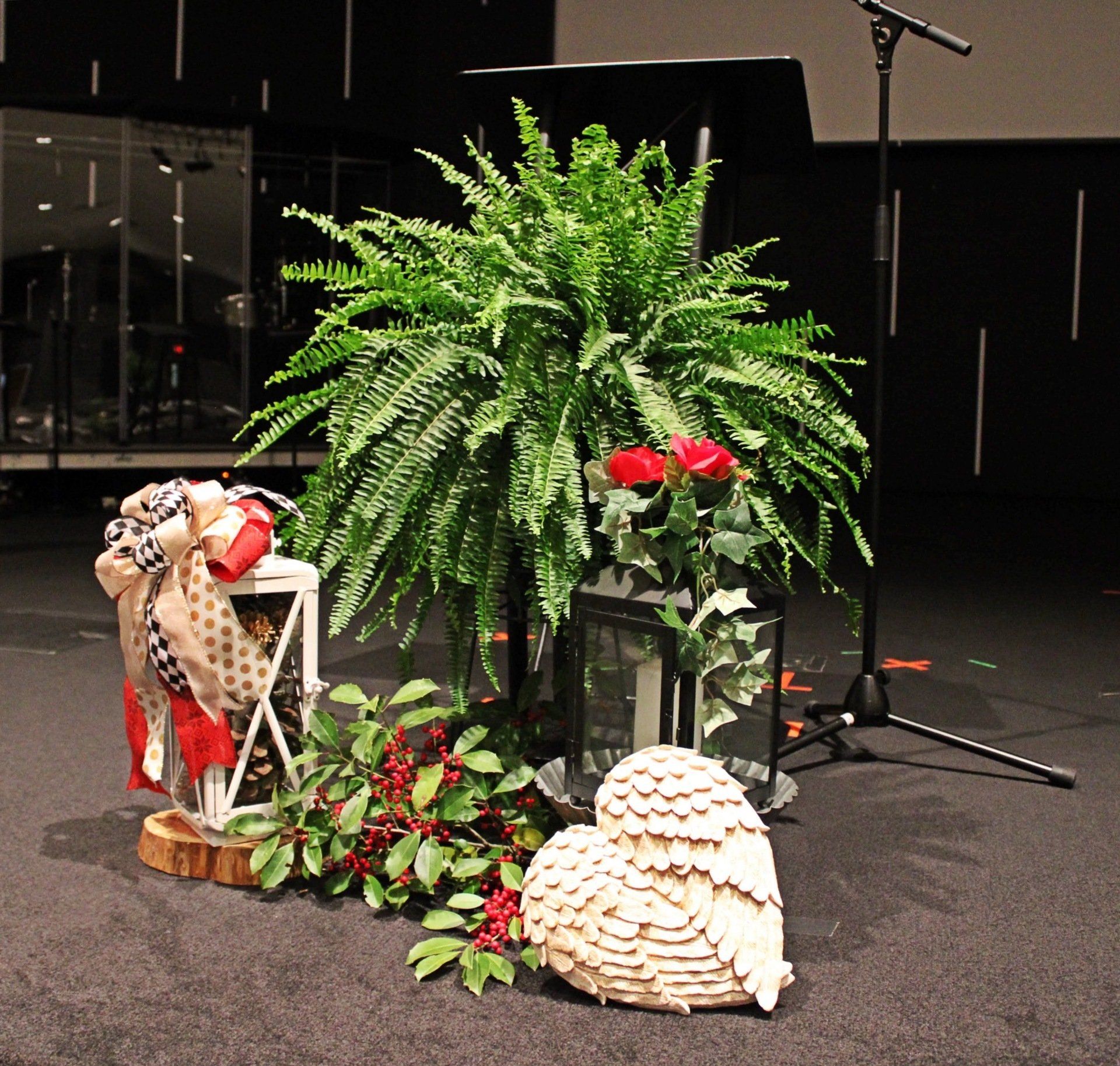 fern display in front of microphone and stand