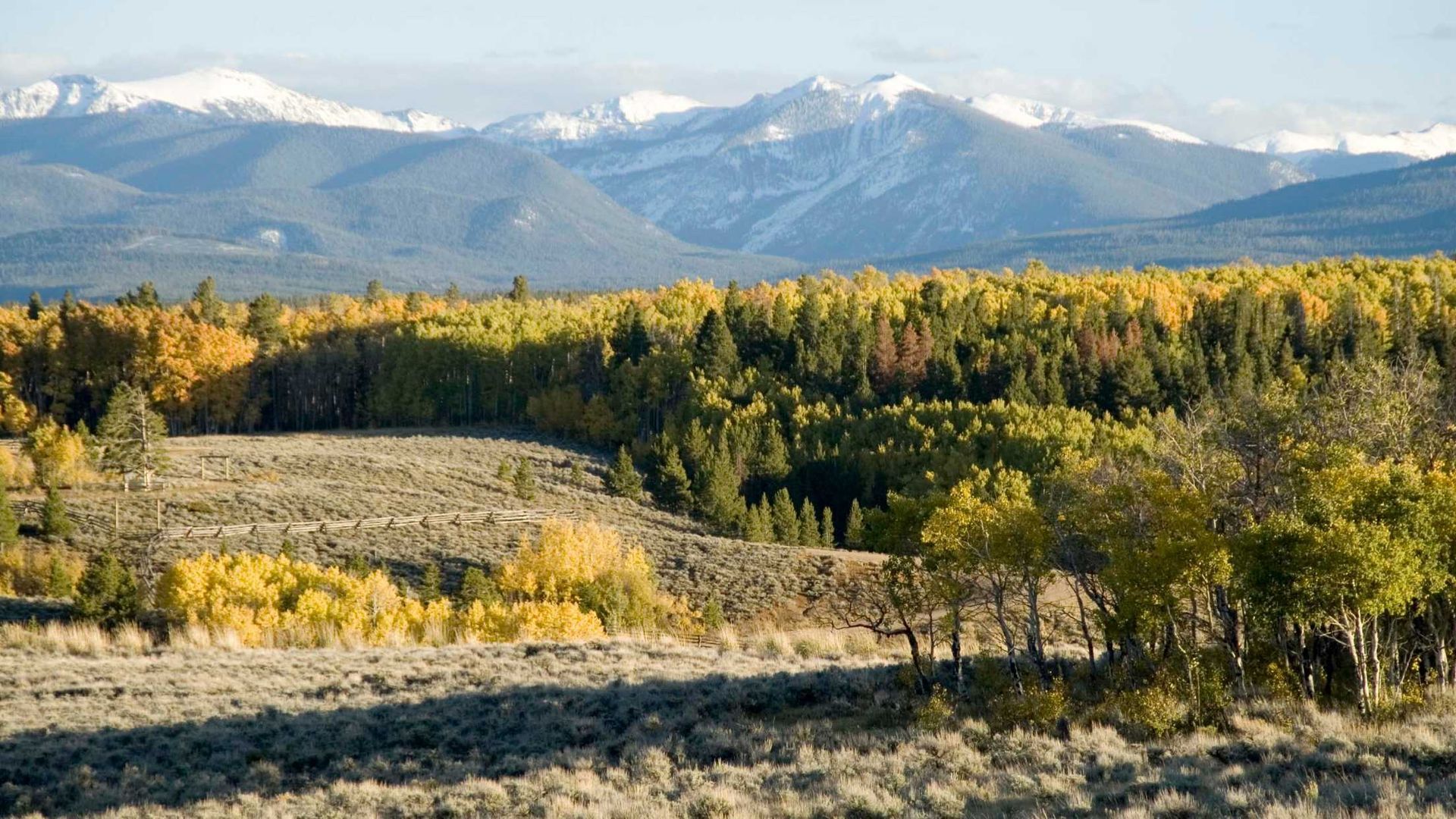 A landscape with mountains in the background and trees in the foreground