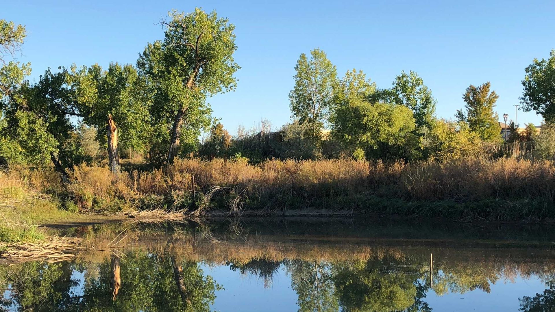 A river with trees on the shore and trees reflected in the water.