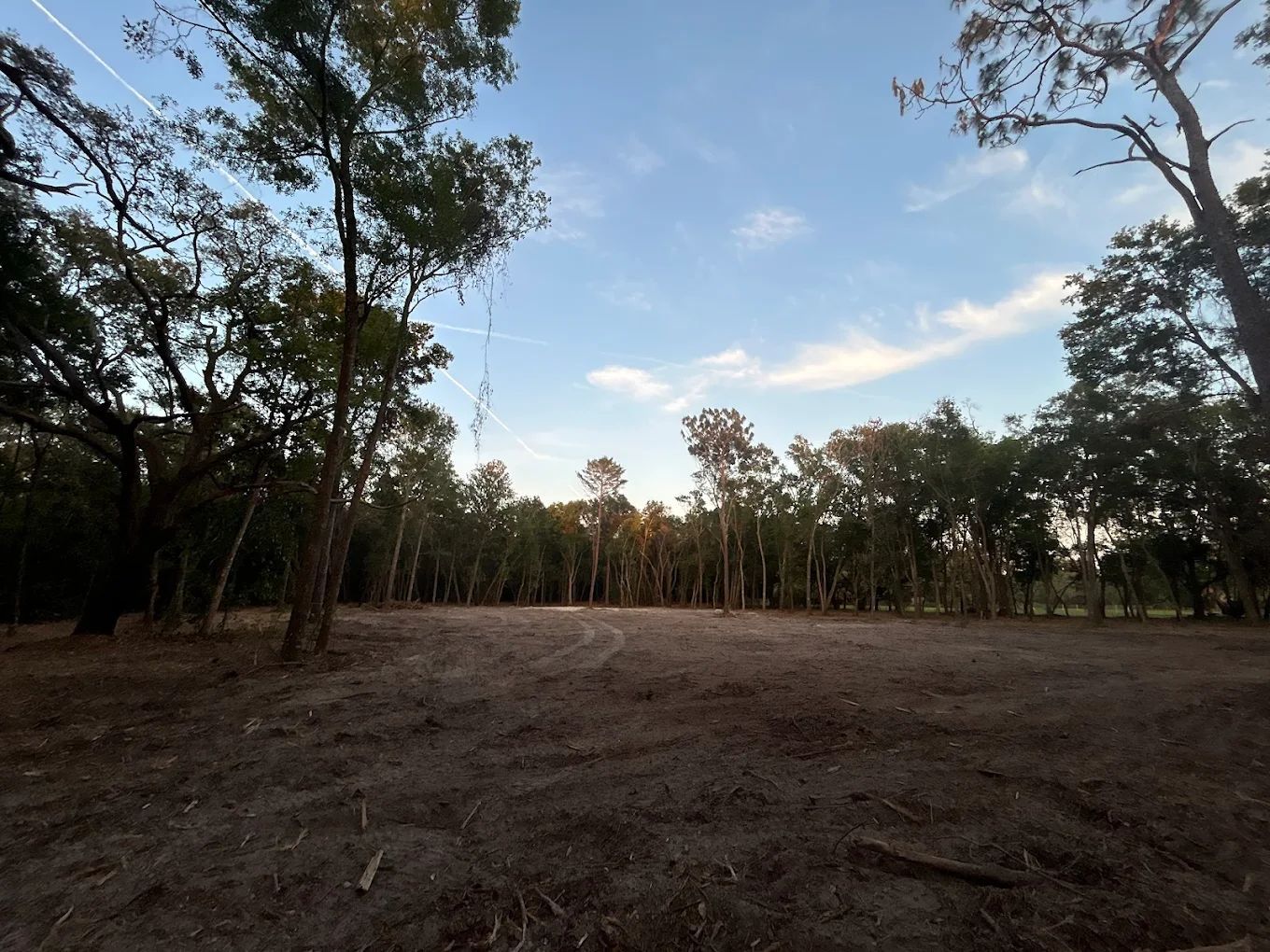 A cleared, dirt-covered field surrounded by a dense, leafy forest under a clear blue sky at sunset.