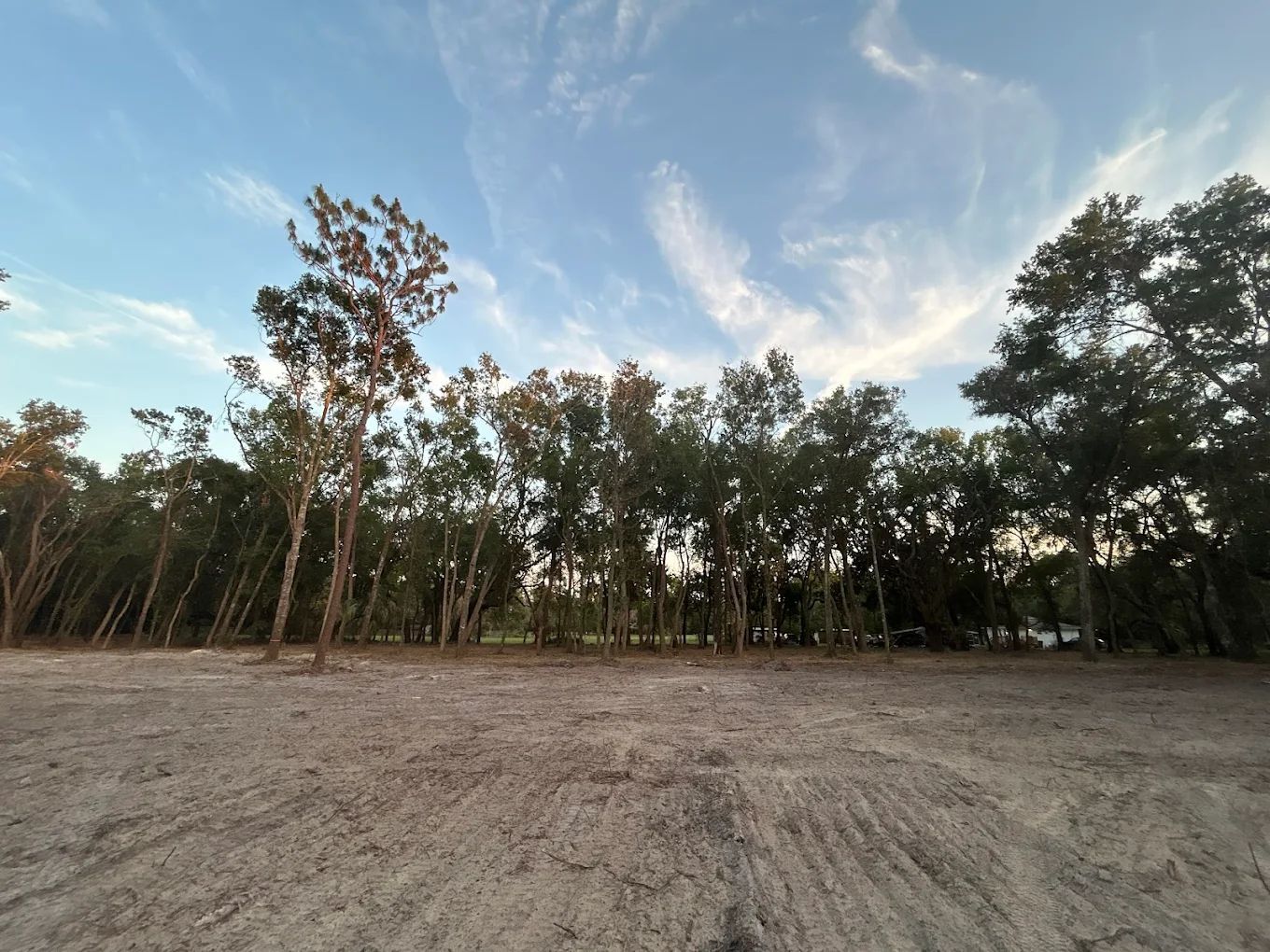 A leveled, dirt plot in the foreground with a line of tall, leafy trees against a blue sky with soft, wispy clouds.