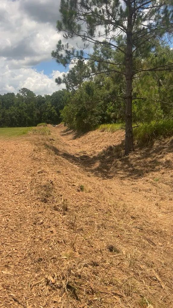A dirt path runs alongside a trench, with a pine tree on the right and dense forest in the background under a cloudy sky.