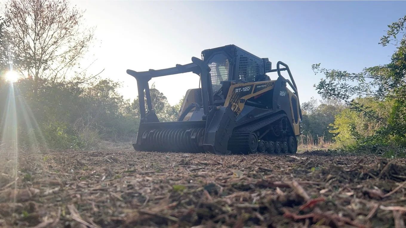 A black tracked skid steer with a forestry mulcher attachment parked on a cleared, woody field at sunrise.
