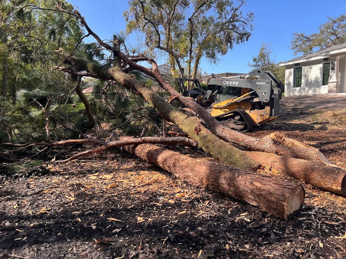 A yellow skid steer loader works on clearing fallen tree trunks and branches in a residential yard.