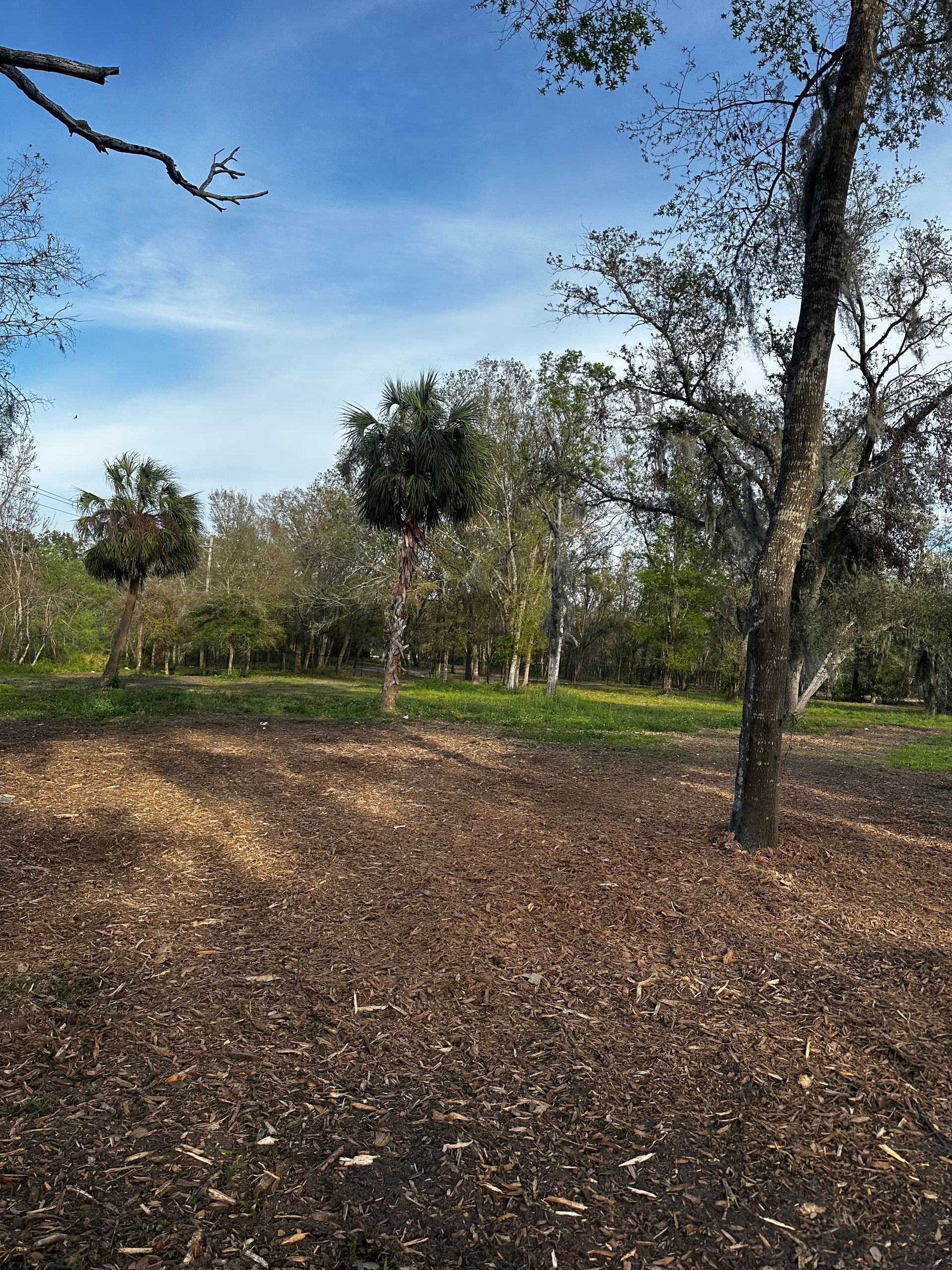 A patch of wood chips in the foreground transitions to a grassy field with trees under a sunny blue sky.