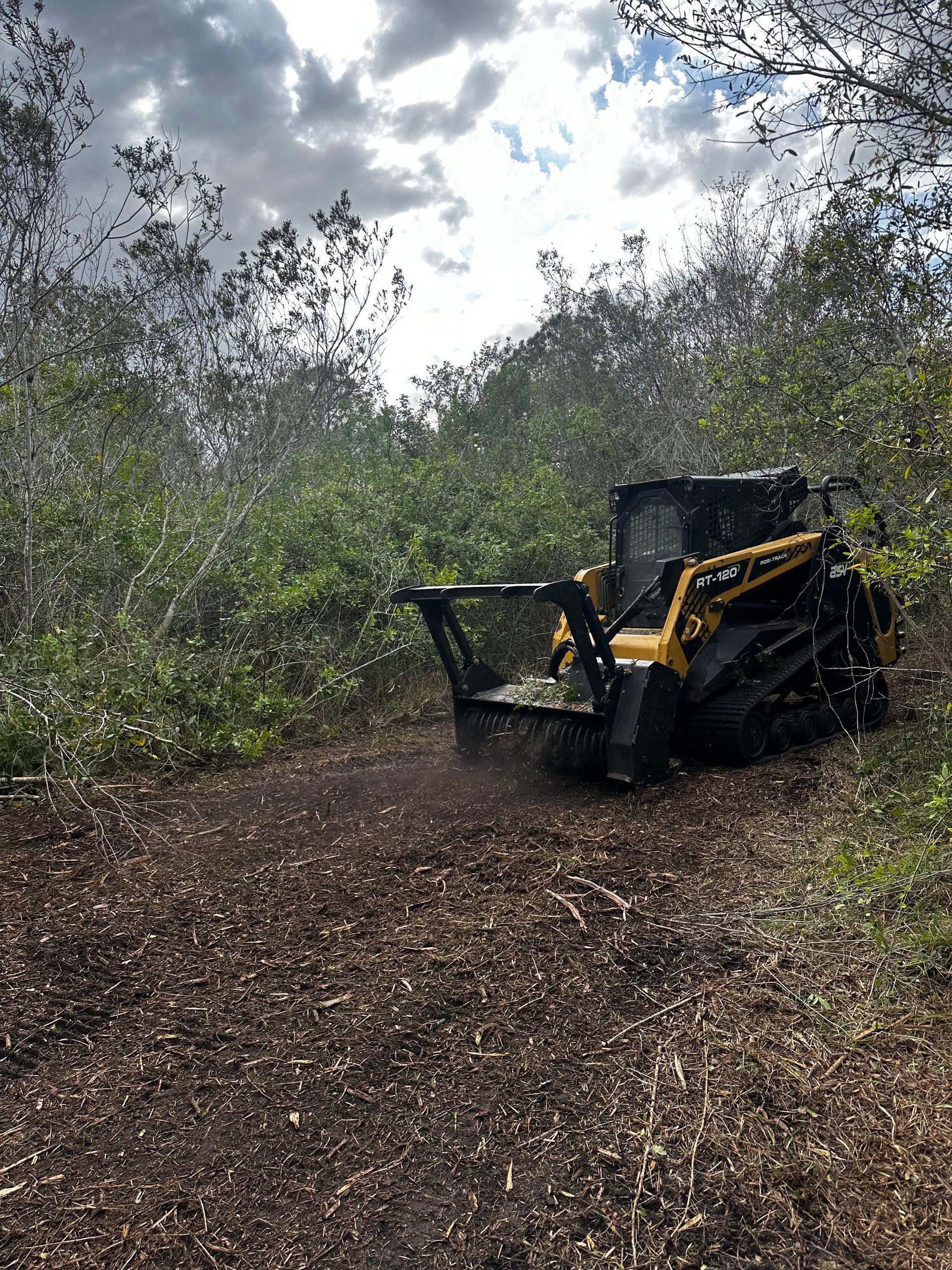 A yellow tracked forestry mulcher clearing brush in a wooded area under a bright, cloudy sky.