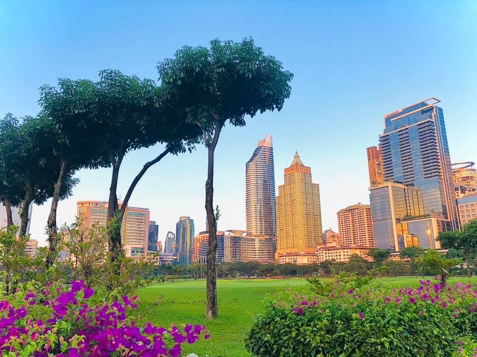 A park with trees and purple flowers in front of a city skyline.