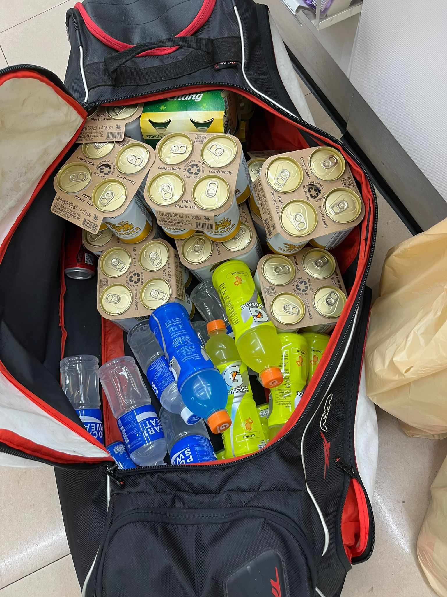 A bag filled with lots of cans and bottles of soda.