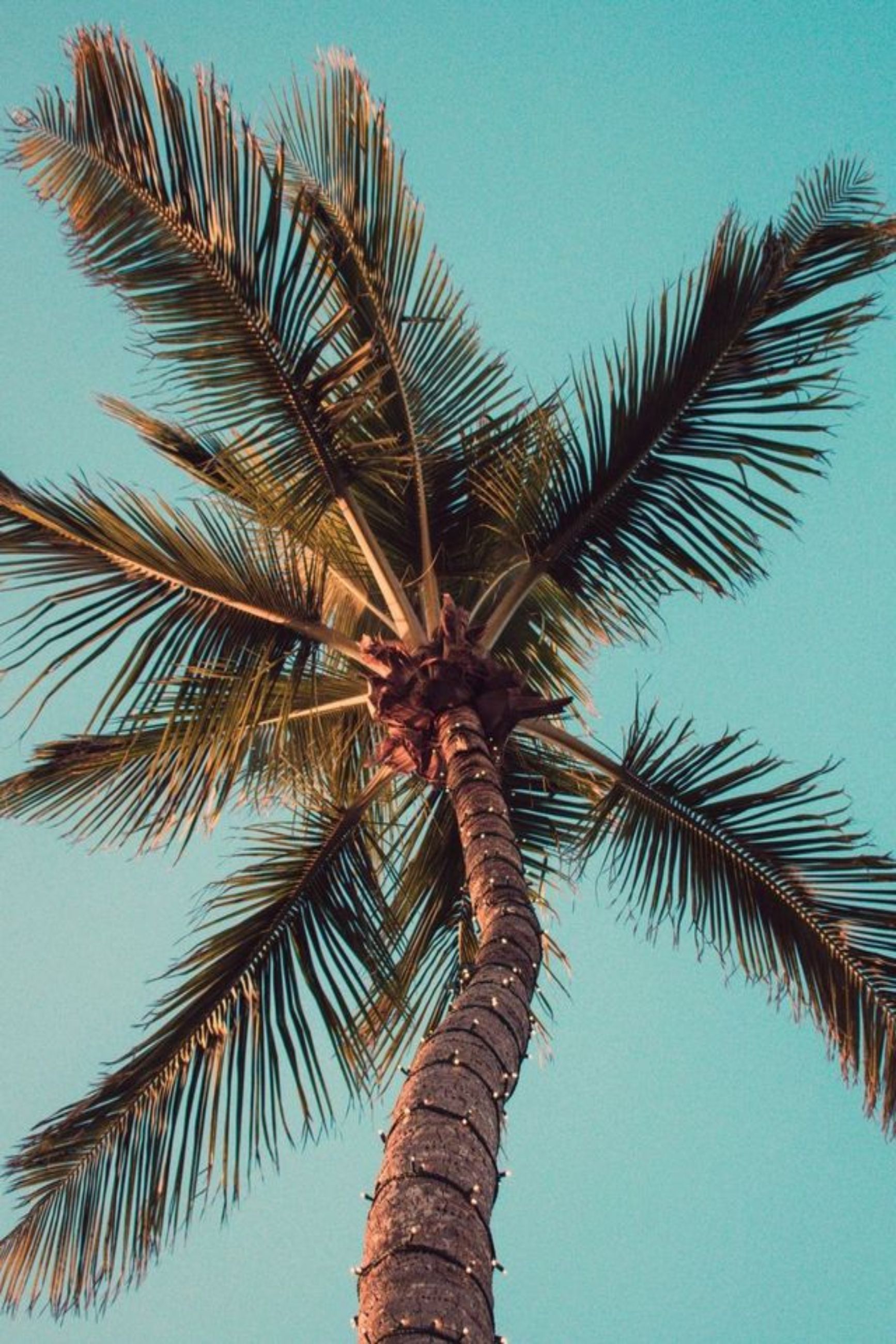 A silhouette of a man 's head on a white background.