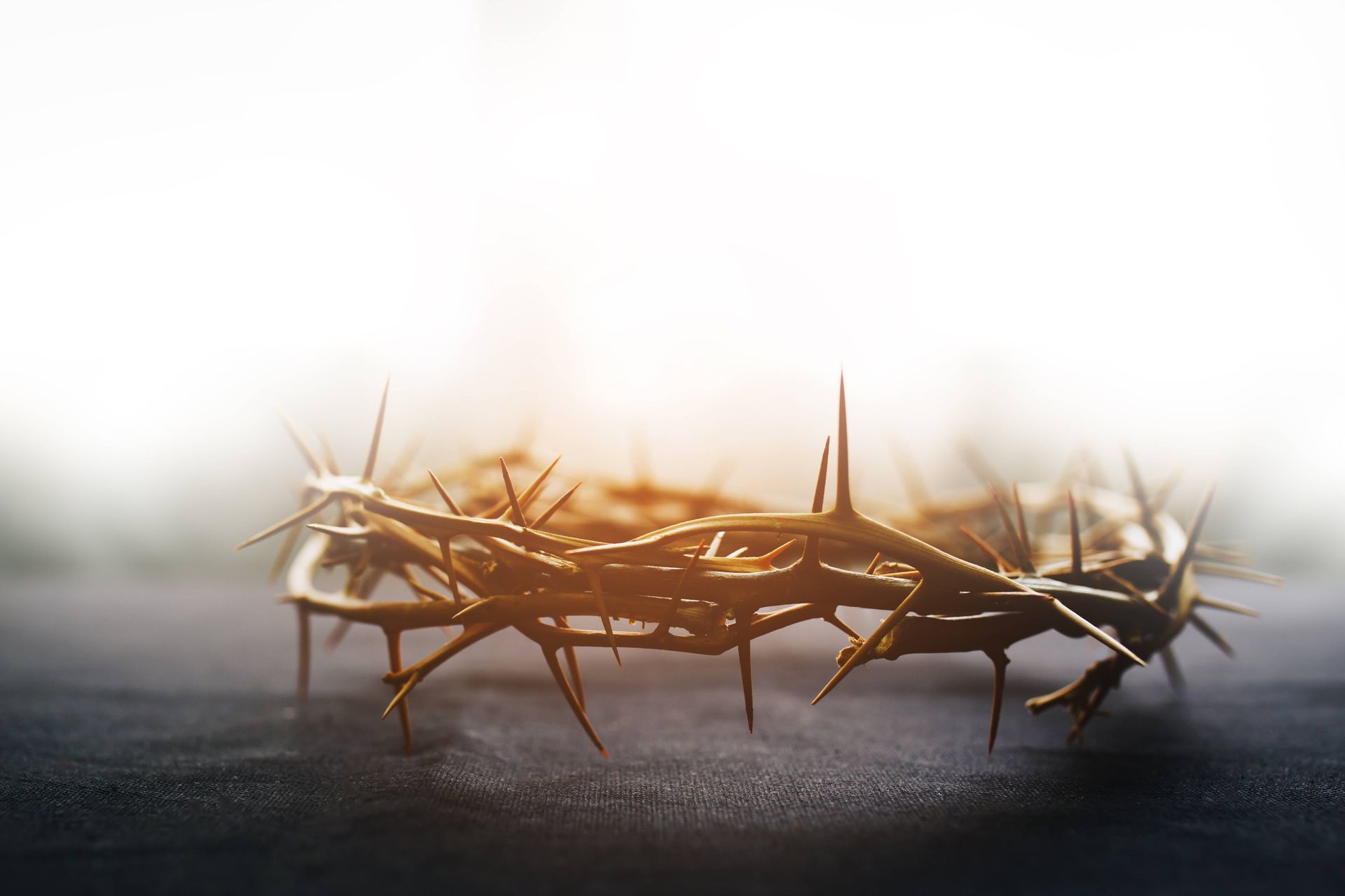 A close up of a crown of thorns on a table.