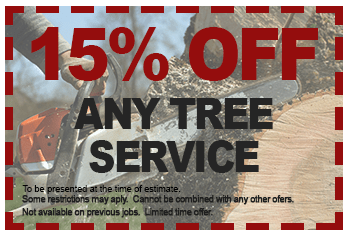 15% Off Any Tree Service