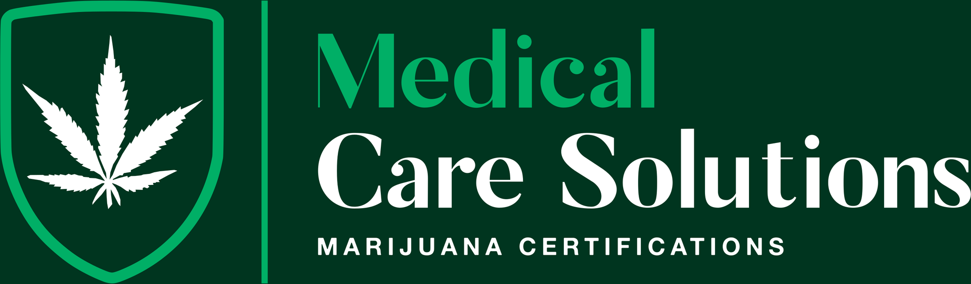 Medical Care Solutions Business Logo 