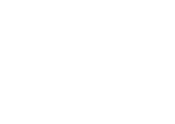 Blank white image with a thin blue border at the bottom and right edges