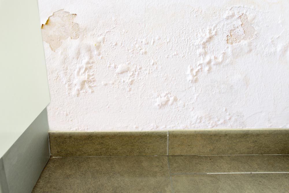 Damaged wall caused by water leaks