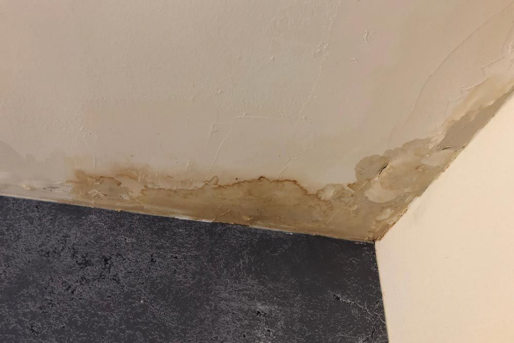 Damp spots on the ceiling