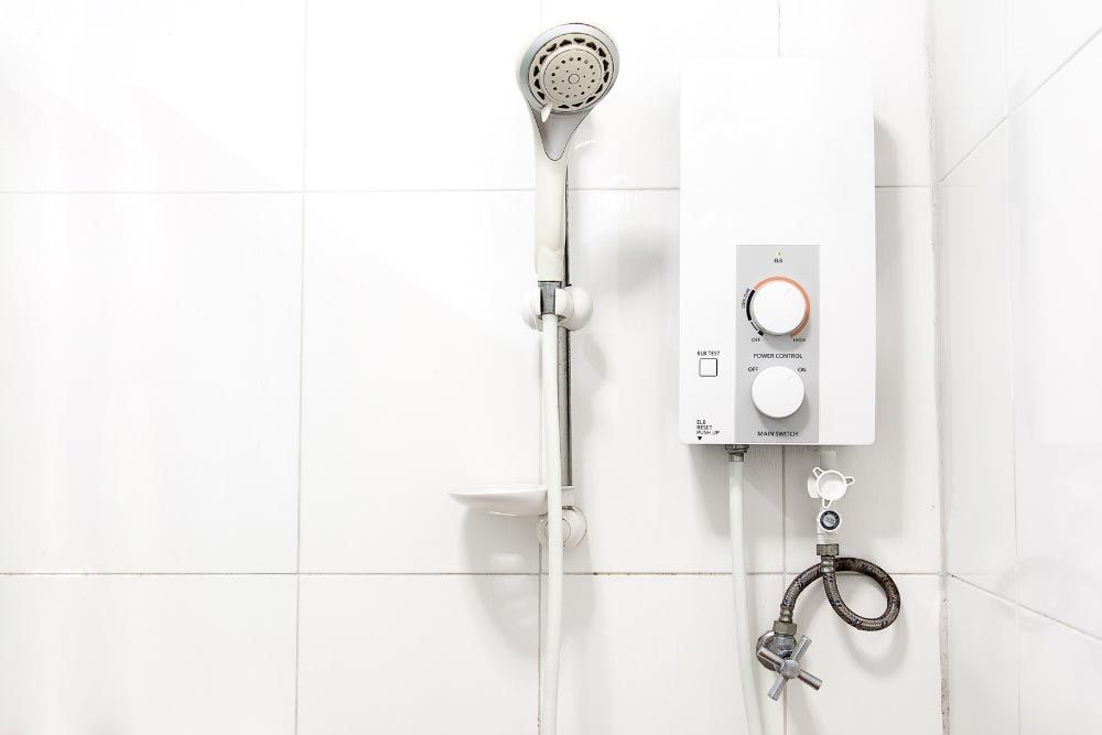 Water heater and shower