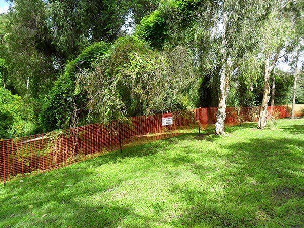 Advanced-Group-Tree-Protection-7-tree-protection-zone-fencing