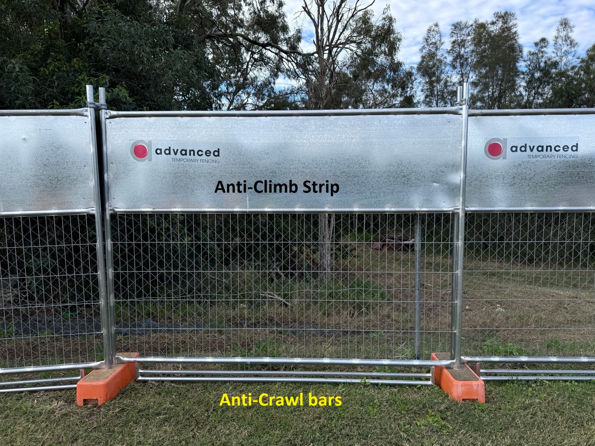 Advanced-Group-Koala-Fencing-frog fencing-combo