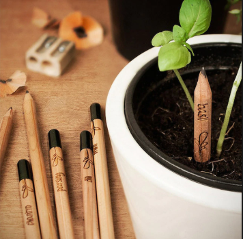 SEED  PENCIL