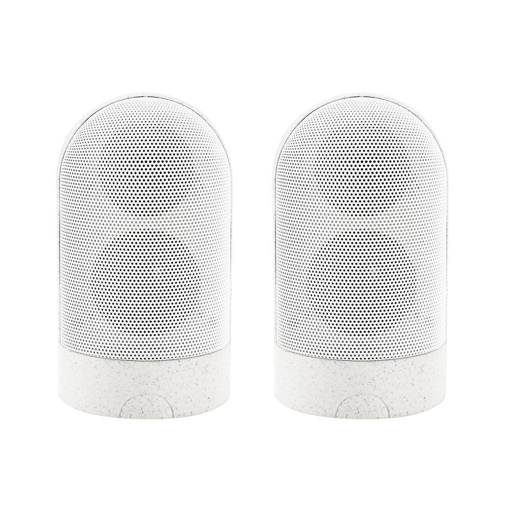 STANDING SPEAKERS