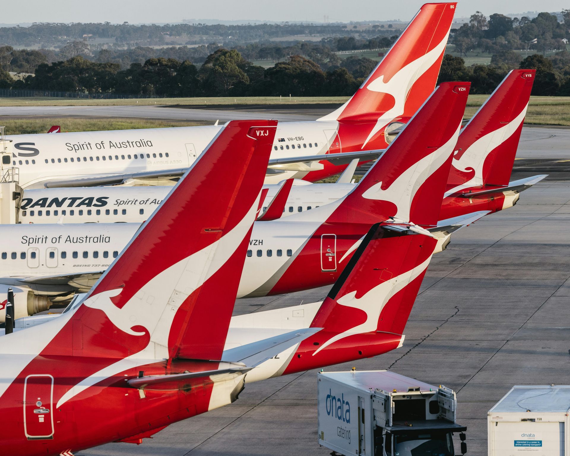 Red and white Qantas tailfins of several airplanes lined up on a tarmac.