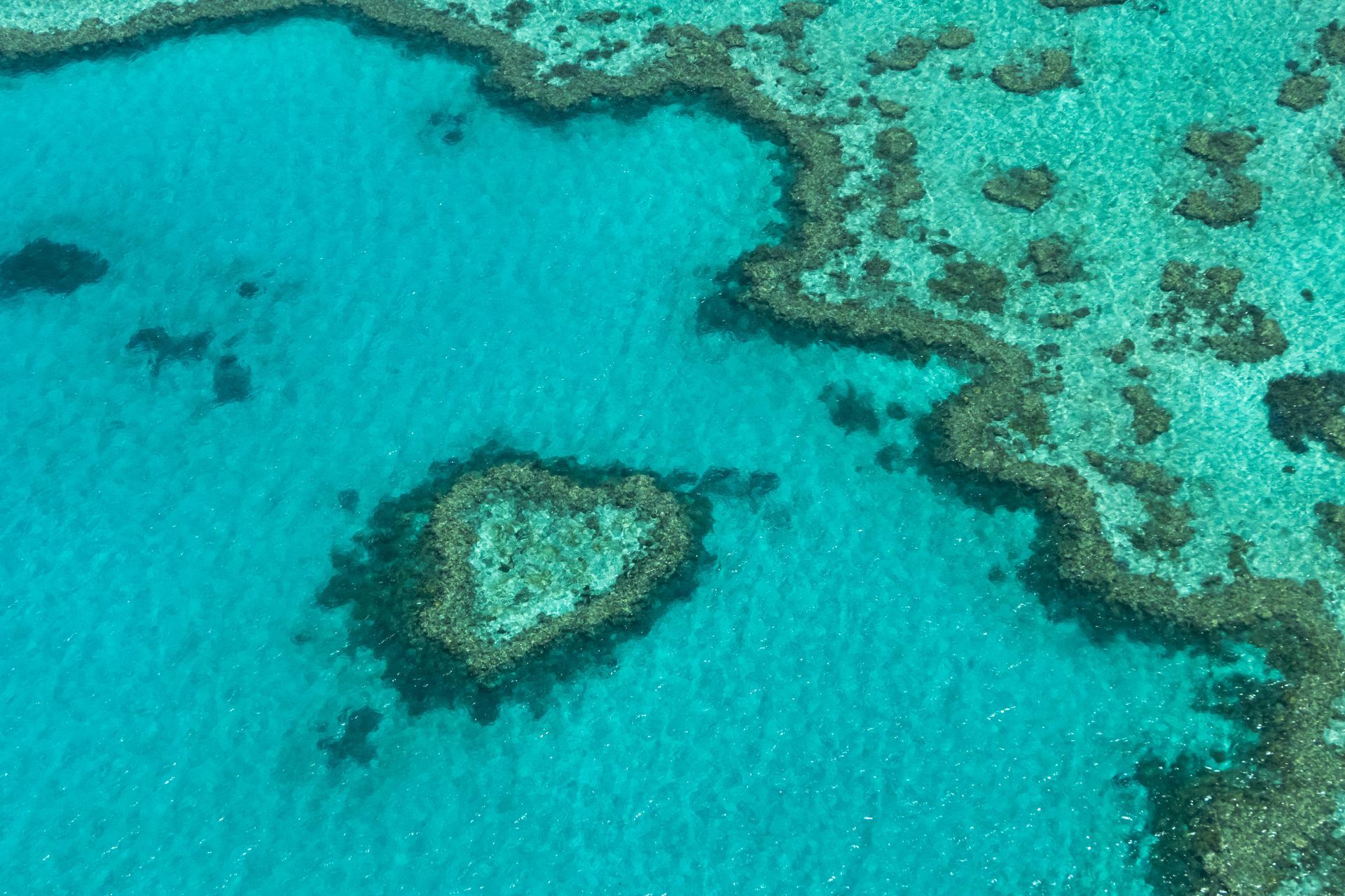 Heart-shaped coral reef in turquoise ocean, part of the Great Barrier Reef, Australia.