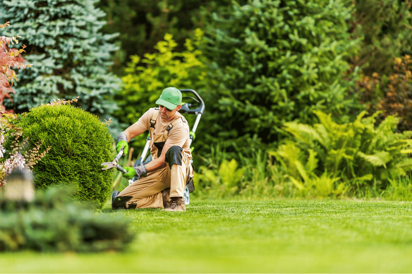 A man is kneeling down in a garden cutting a bush with a lawn mower.