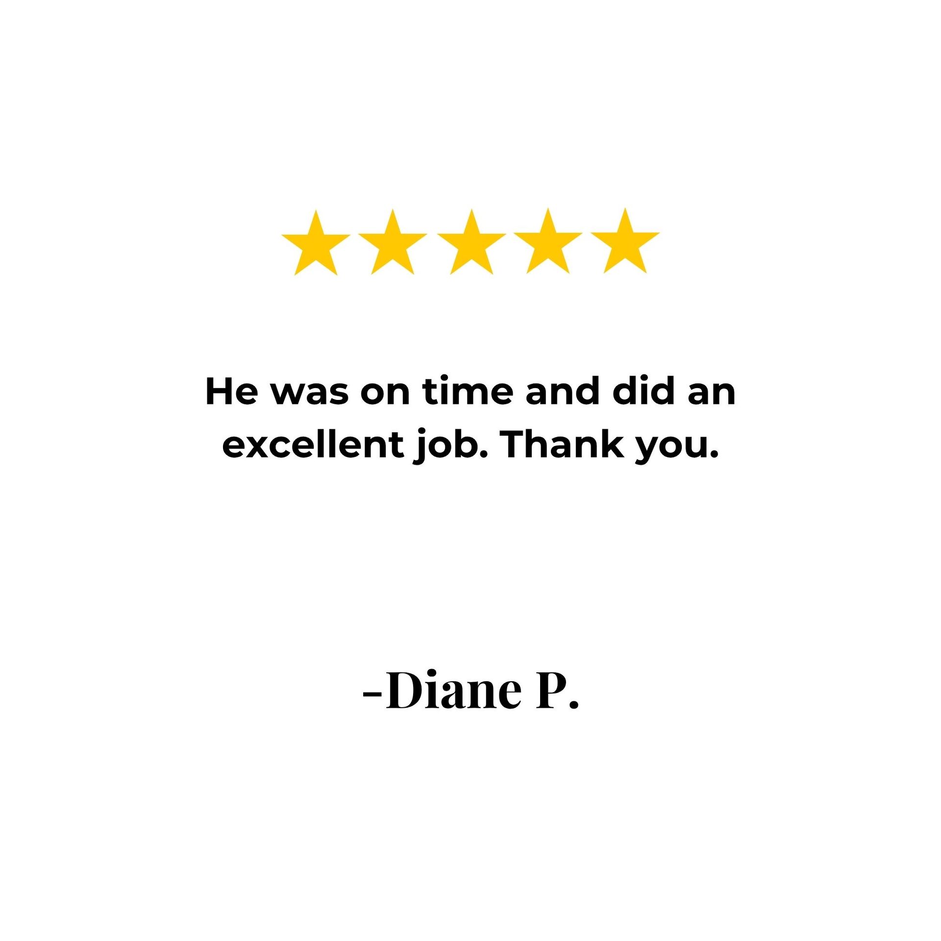 Customer review: 5 stars, "He was on time and did an excellent job. Thank you." -Diane P.