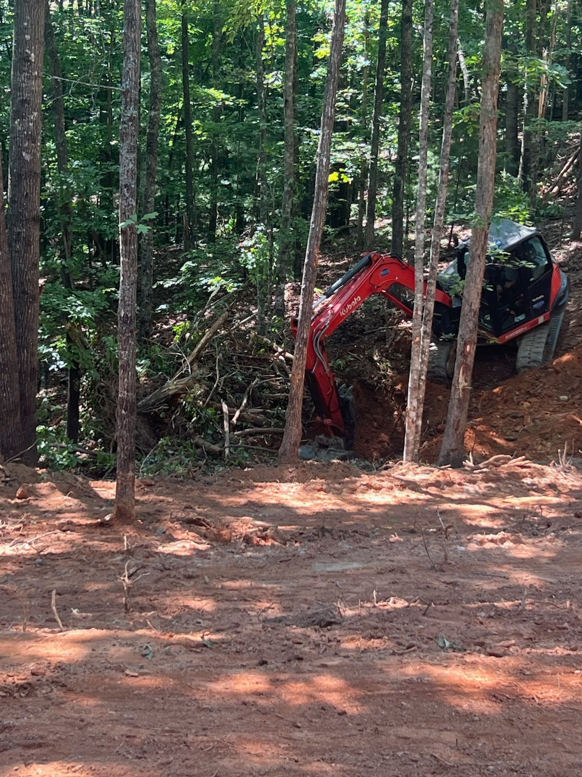 A bulldozer is cutting down trees in the woods.