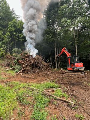 A bulldozer is cutting down trees in the woods.