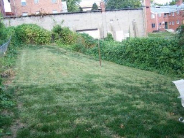 Backyard of 3418 Jackson St | DiBar Enterprises