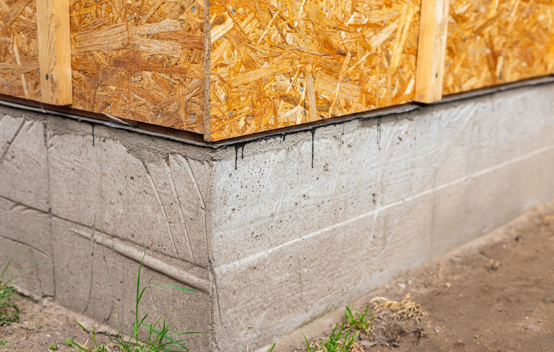 Concrete foundation beneath unfinished plywood house wall