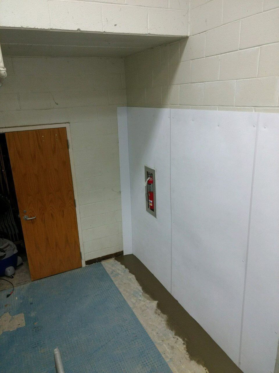 Basement stairwell with white cinderblock walls, wooden door, and blue carpet runner.