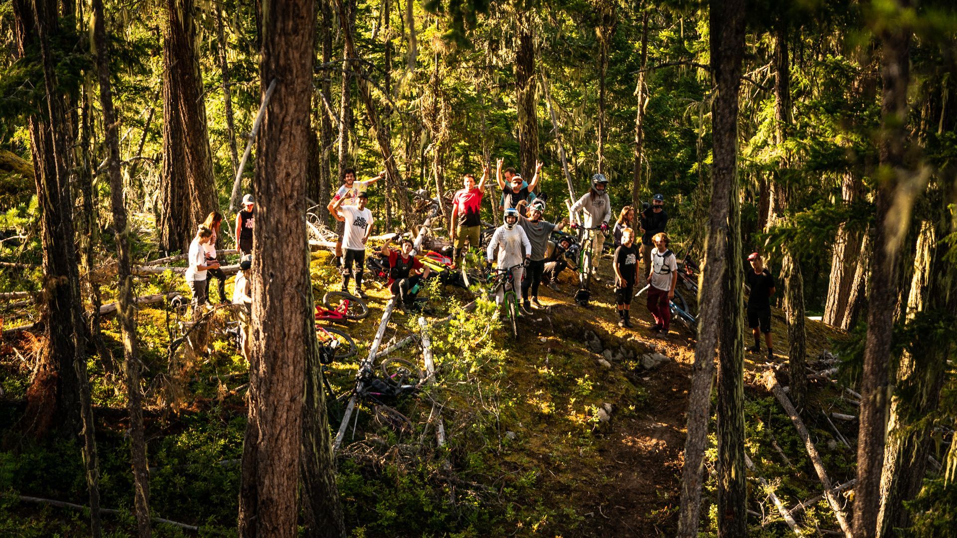 A group of people are walking through a forest.
