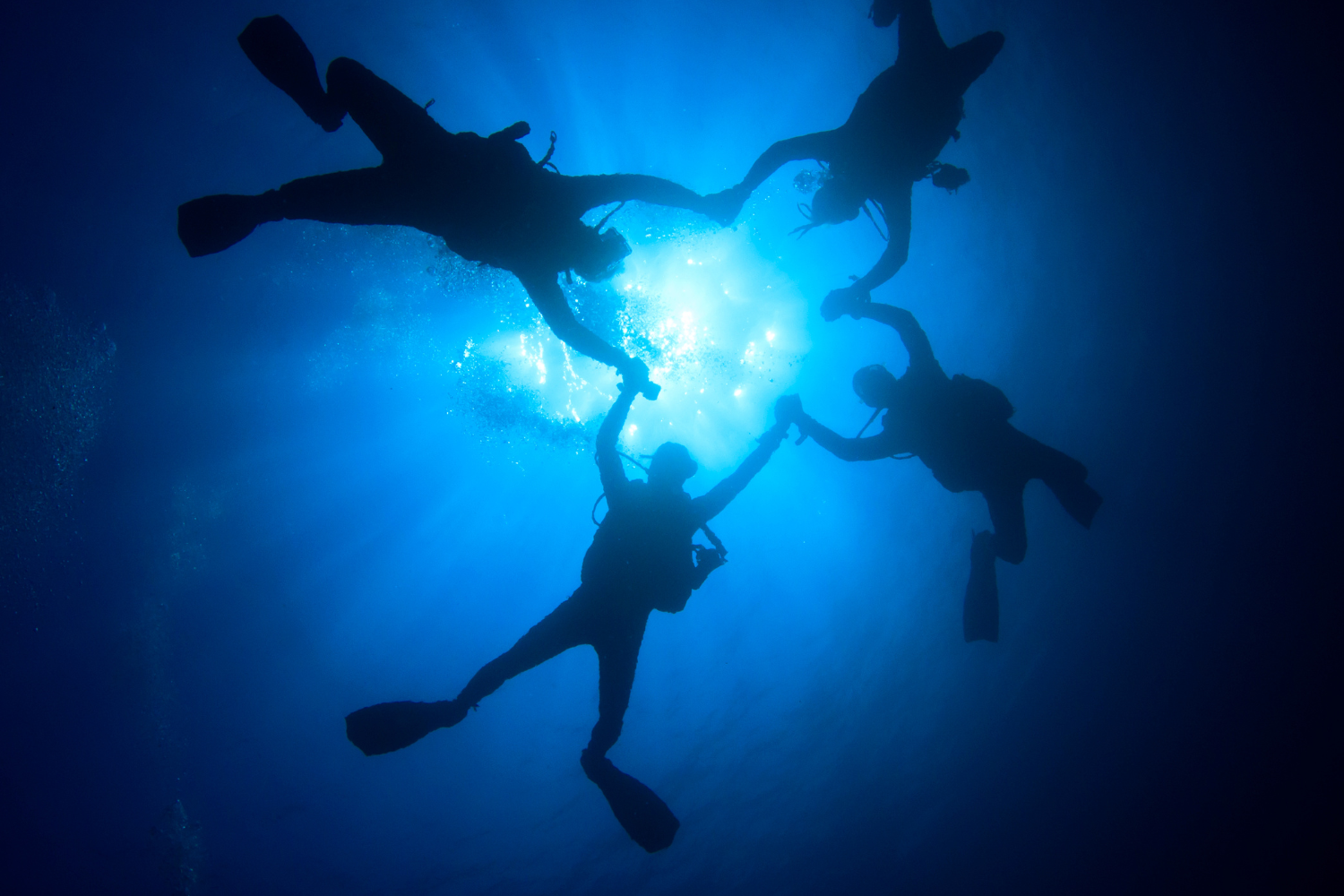 A group of scuba divers are holding hands in the ocean.