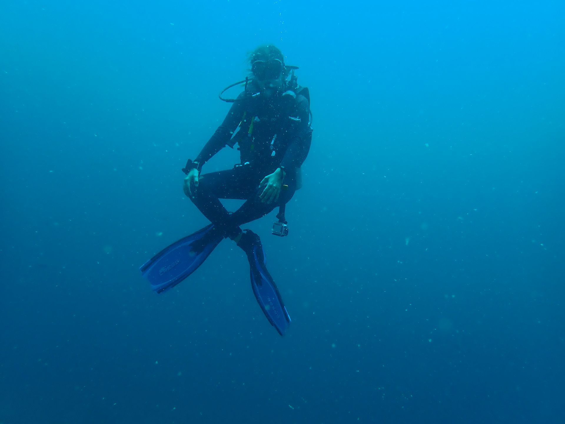 A scuba diver is swimming in the ocean.
